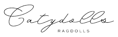 The Dog Salon